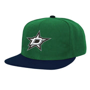 Dallas Stars Mitchell & Ness Core Team Ground 2.0 Snapback Hat - Kelly Green Techwosell