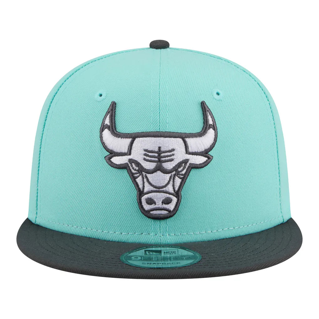 Chicago Bulls New Era Color Pack Two-Tone 9FIFTY Snapback Hat - Turquoise/Charcoal Techwosell