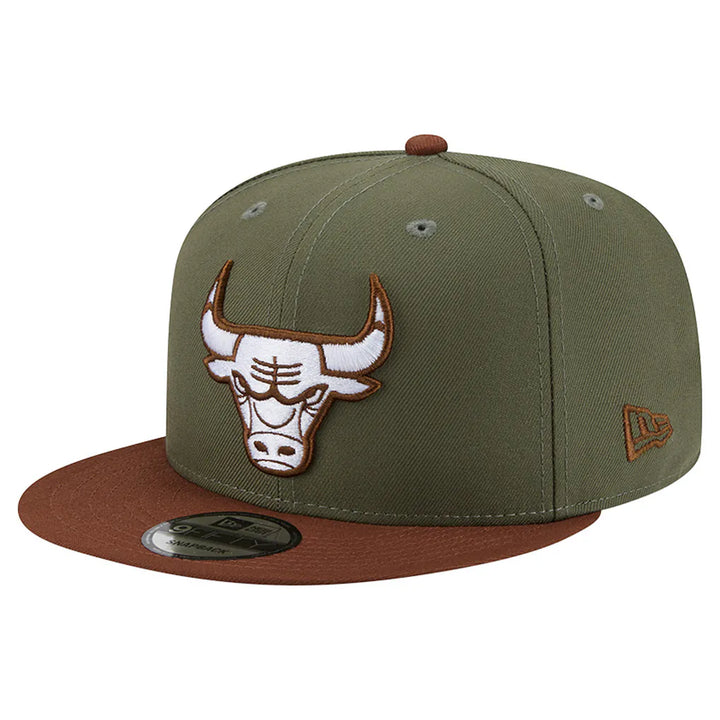 Chicago Bulls New Era Color Pack 9FIFTY Snapback Hat - Green/Brown