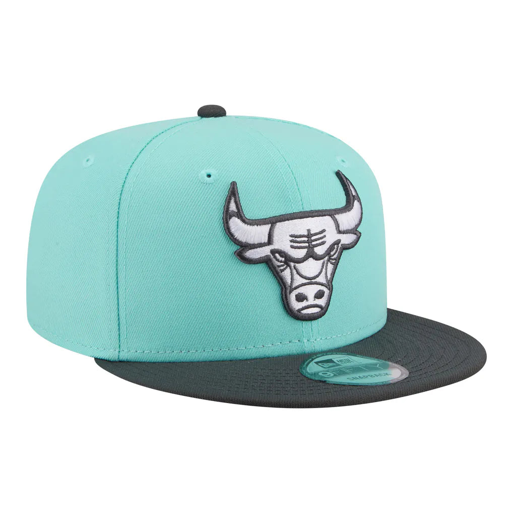 Chicago Bulls New Era Color Pack Two-Tone 9FIFTY Snapback Hat - Turquoise/Charcoal